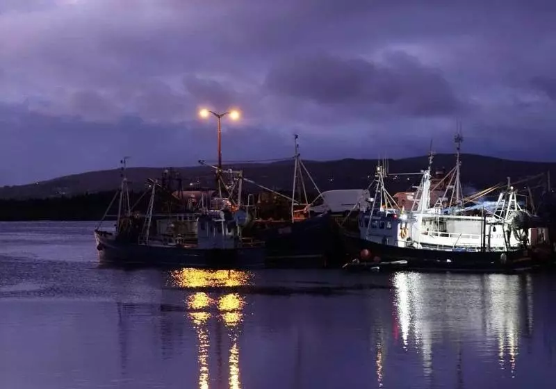 ホテル Carey S Viking House