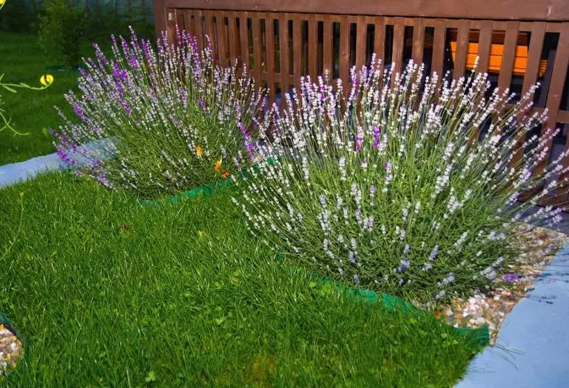 Delta Est Hotel & Restaurant