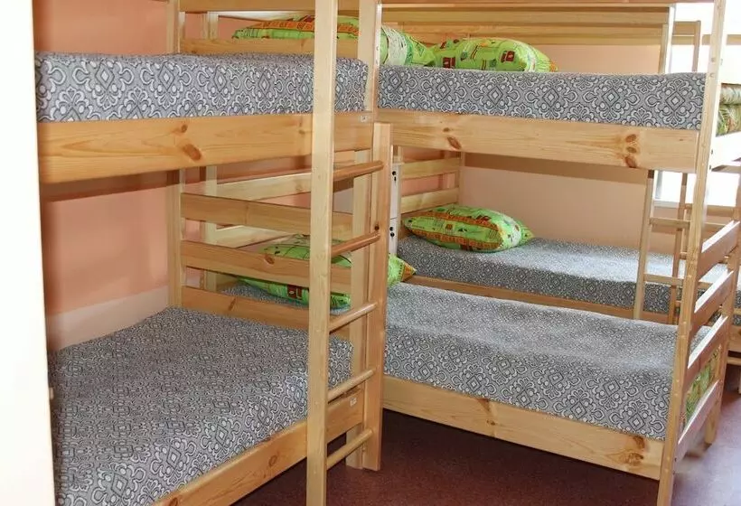 Mini Hotel Vizit   Hostel