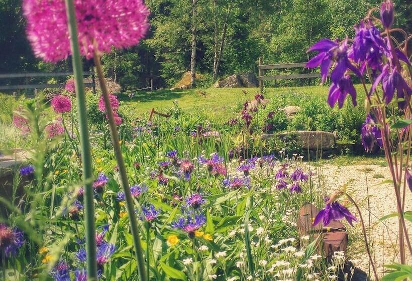 بنسيون Auberge Nemoz