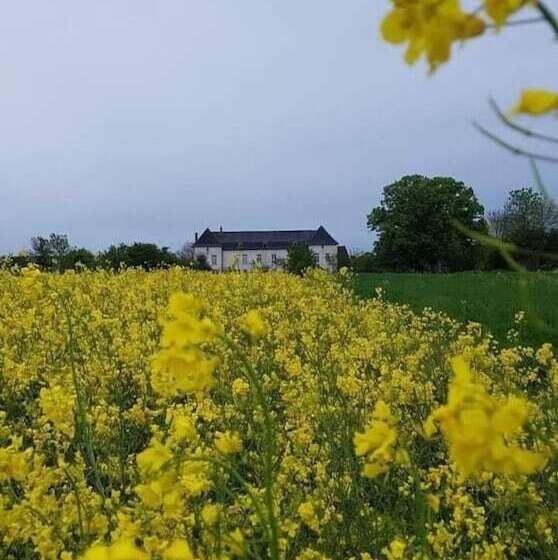 بنسيون Le Chateau De Buchy