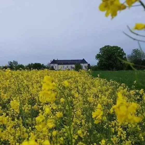 Majatalo Le Chateau De Buchy