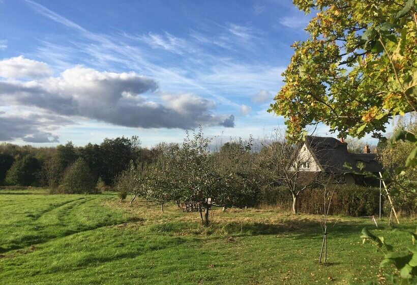 Thatched Cottage B&b
