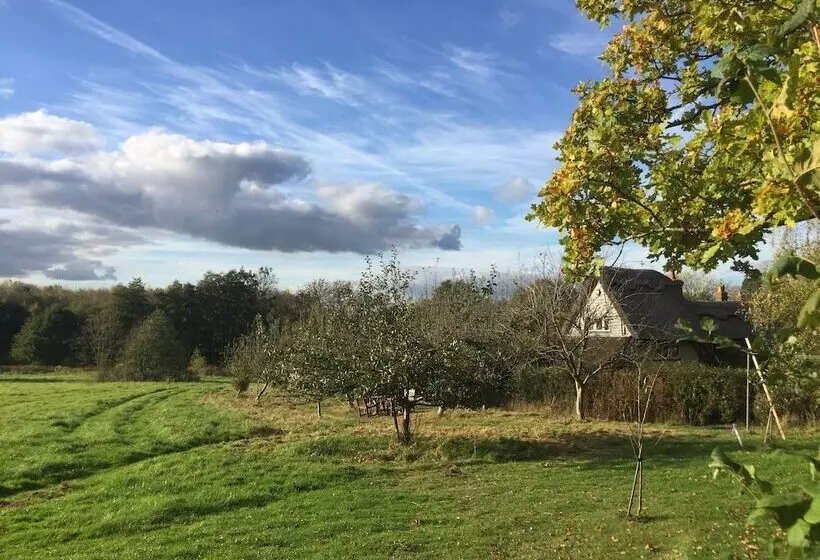 Thatched Cottage B&b