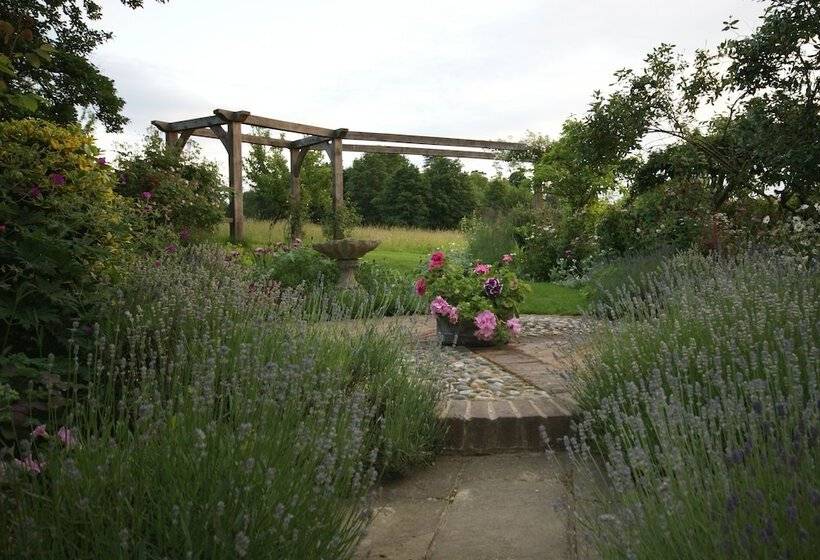 Thatched Cottage B&b