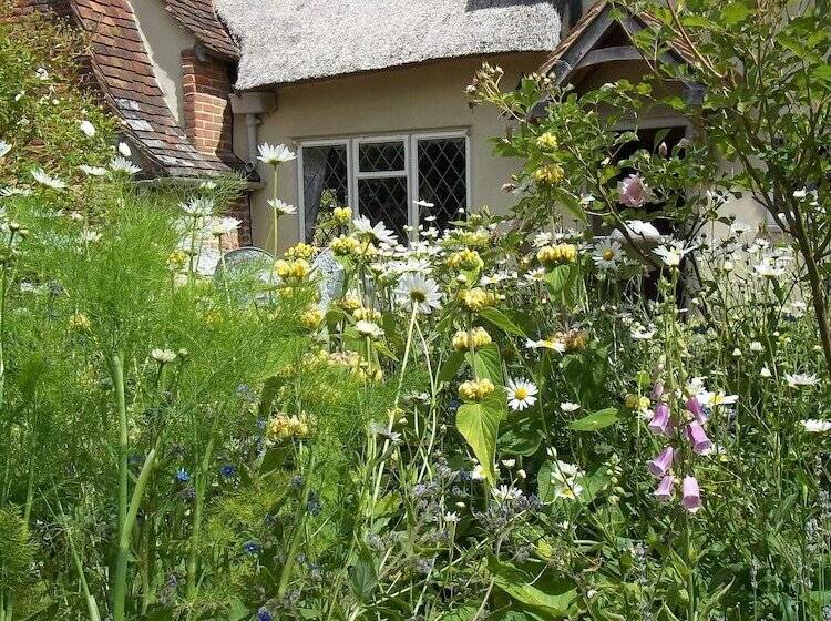 Thatched Cottage B&b