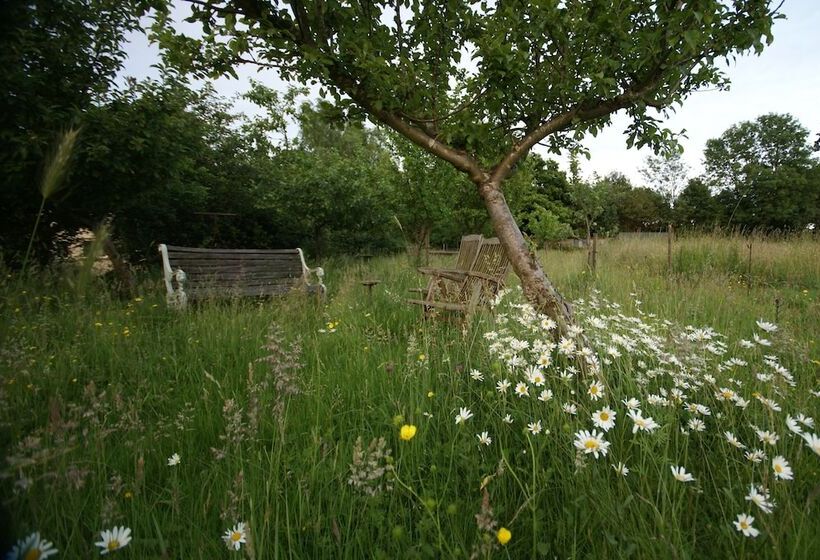 Thatched Cottage B&b