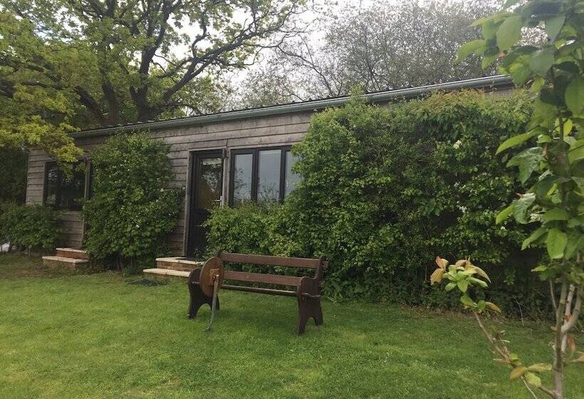 Thatched Cottage B&b