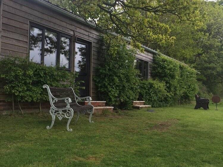 Thatched Cottage B&b