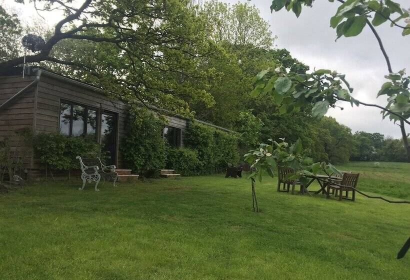 Thatched Cottage B&b