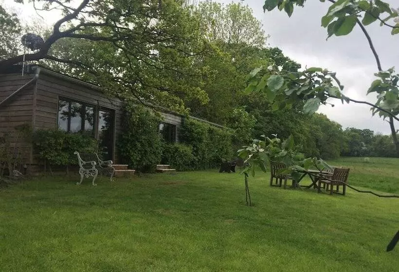 Thatched Cottage B&b