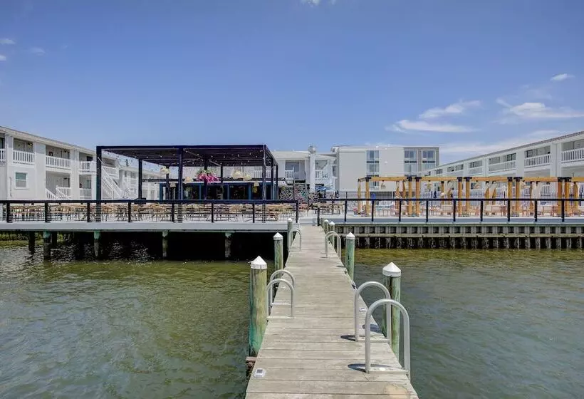 Hotelli Beachwalk At Sea Bright