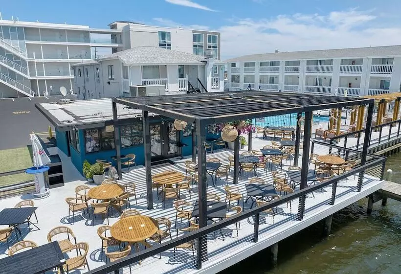 Hotelli Beachwalk At Sea Bright