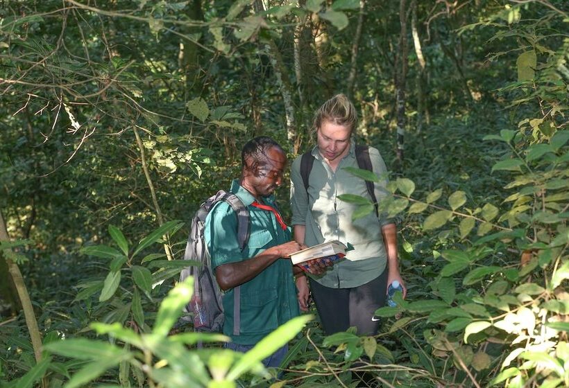 هتل Brovad Sands Lodge