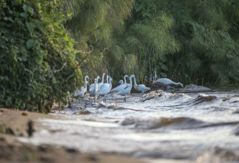 هتل Brovad Sands Lodge