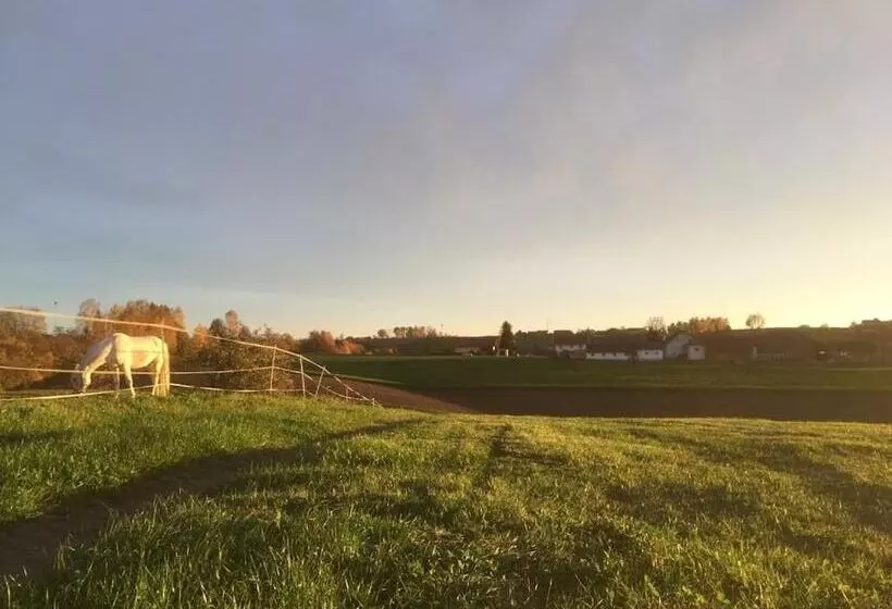Maaseutuhotelli Ferienhof Löw