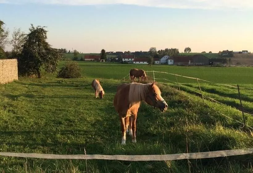 Maaseutuhotelli Ferienhof Löw