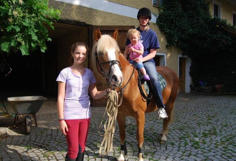 בית מלון כפרי Ferienhof Löw