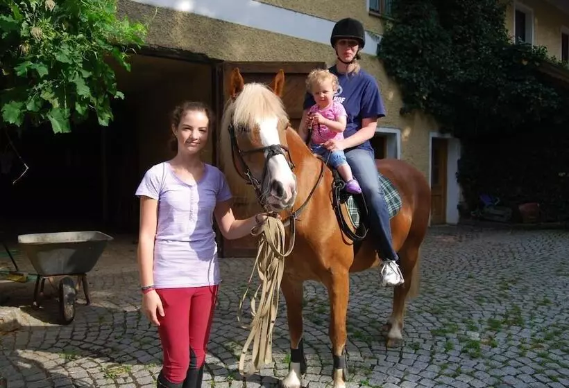 Maaseutuhotelli Ferienhof Löw