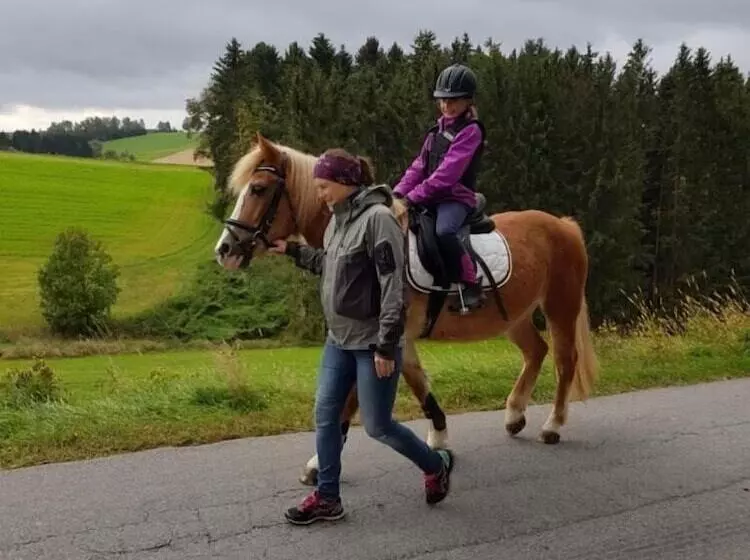 Maaseutuhotelli Ferienhof Löw