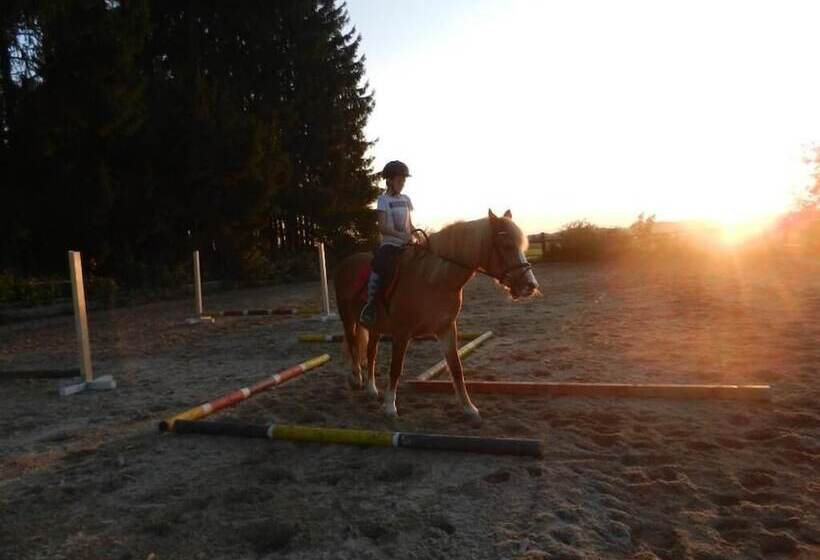 בית מלון כפרי Ferienhof Löw