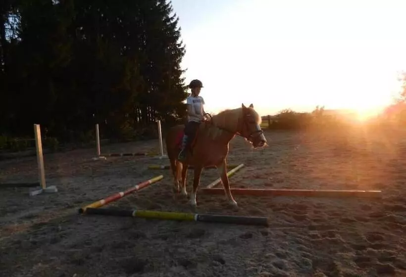 Maaseutuhotelli Ferienhof Löw