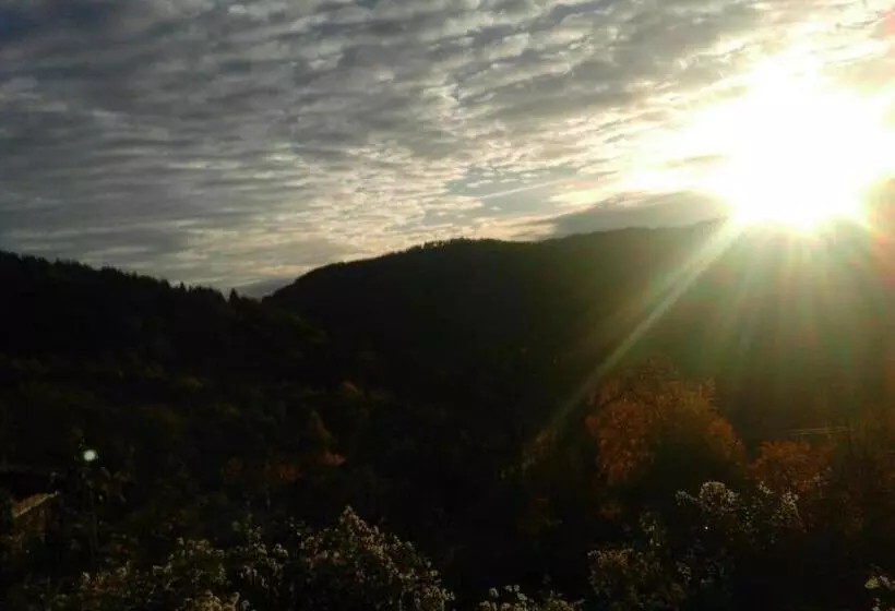 ペンション Bazoteva House