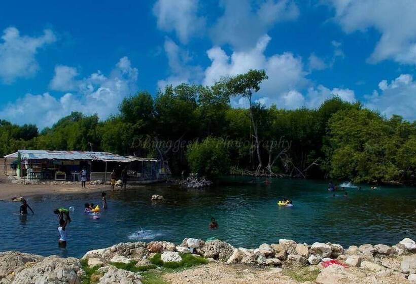 پانسیون Diamonds