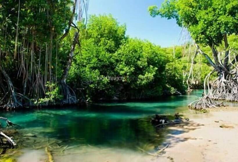 پانسیون Diamonds