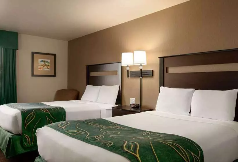 Отель Baymont By Wyndham Wellington