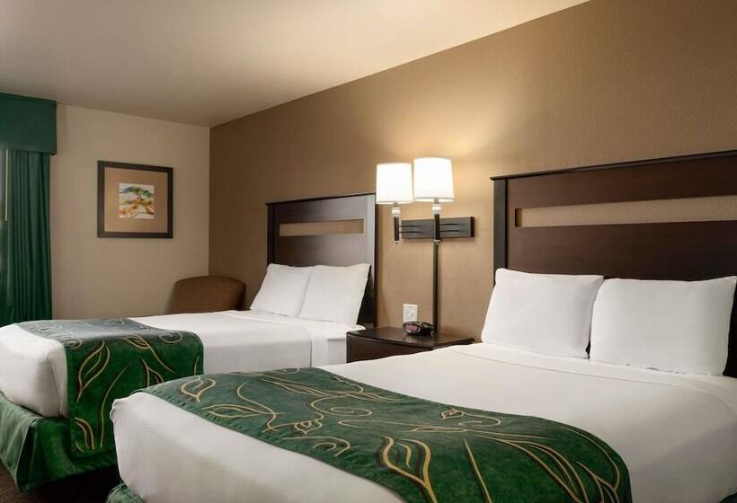 בית מלון כפרי Baymont By Wyndham Wellington