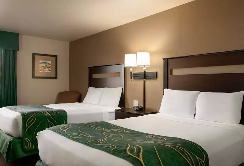 Отель Baymont By Wyndham Wellington