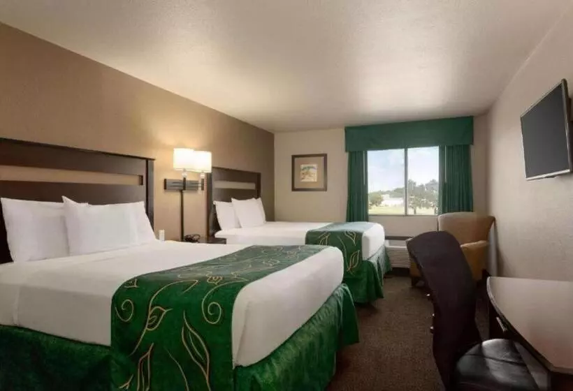 Отель Baymont By Wyndham Wellington