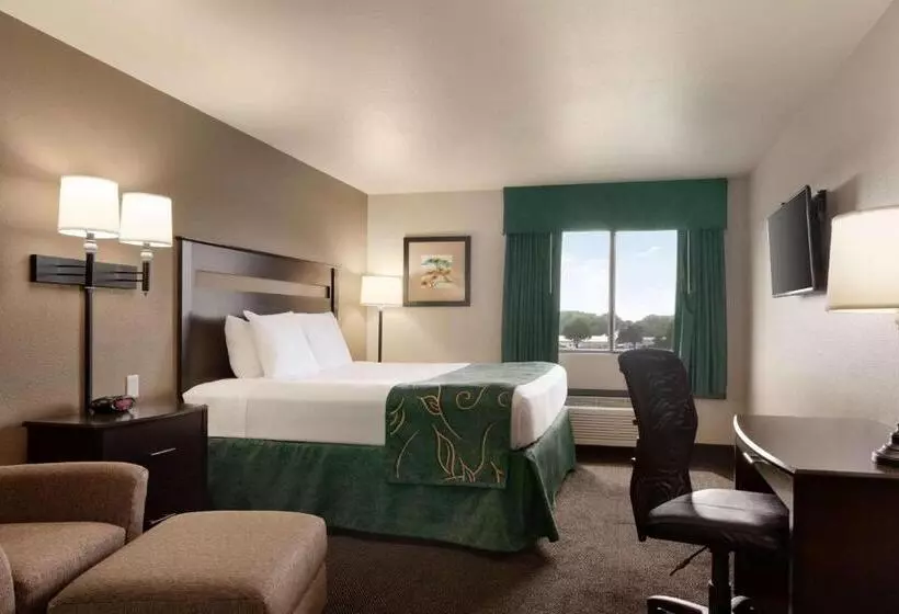 Отель Baymont By Wyndham Wellington