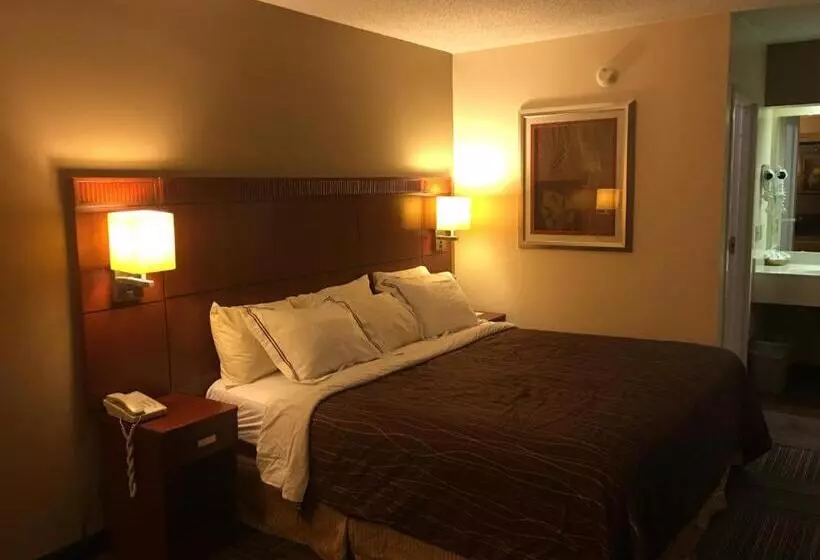 Hotelli Nation S Inn