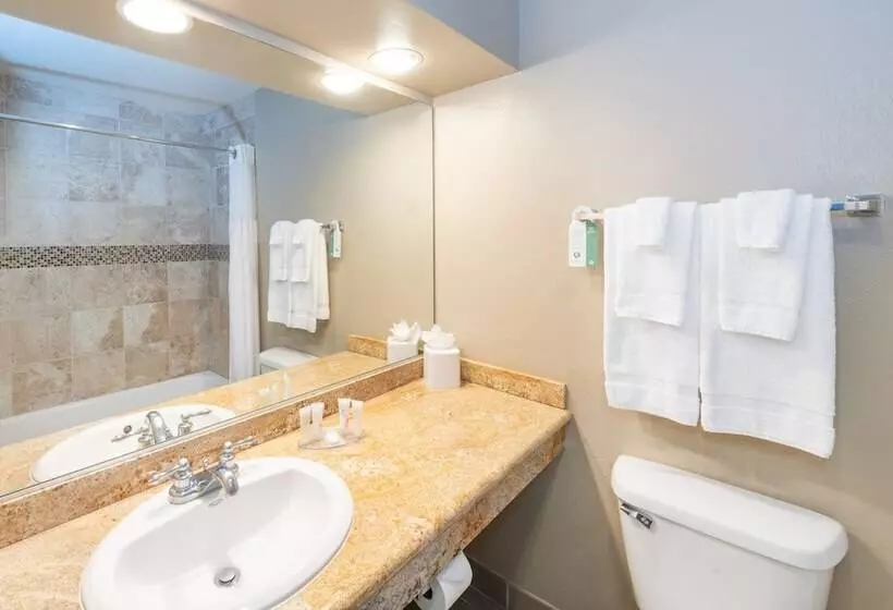 리조트 The Hotel At La Valle