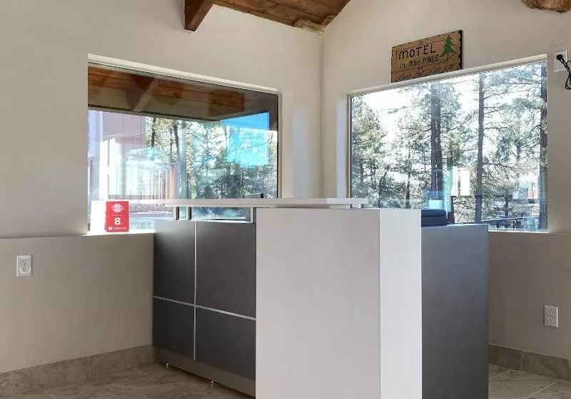 Motel In The Pines