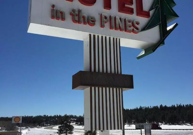 Motel In The Pines