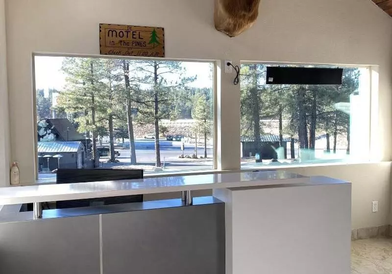 Motel In The Pines