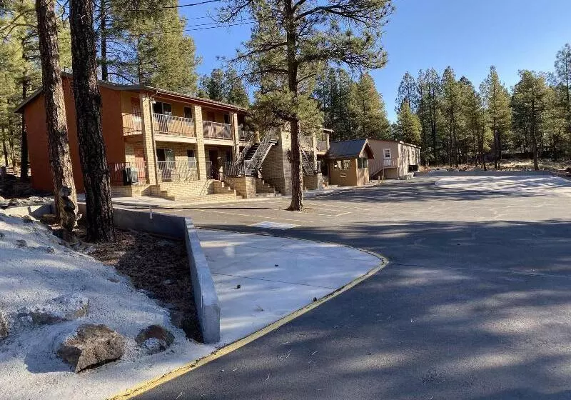 Motel In The Pines