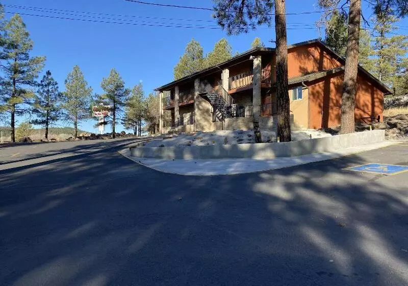 Motel In The Pines