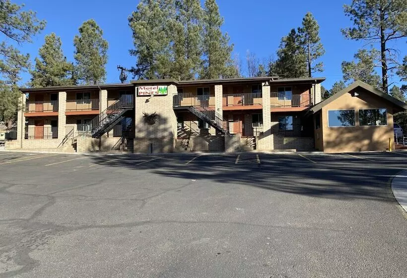 Motel In The Pines