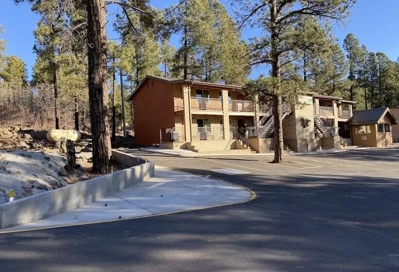 Motel In The Pines