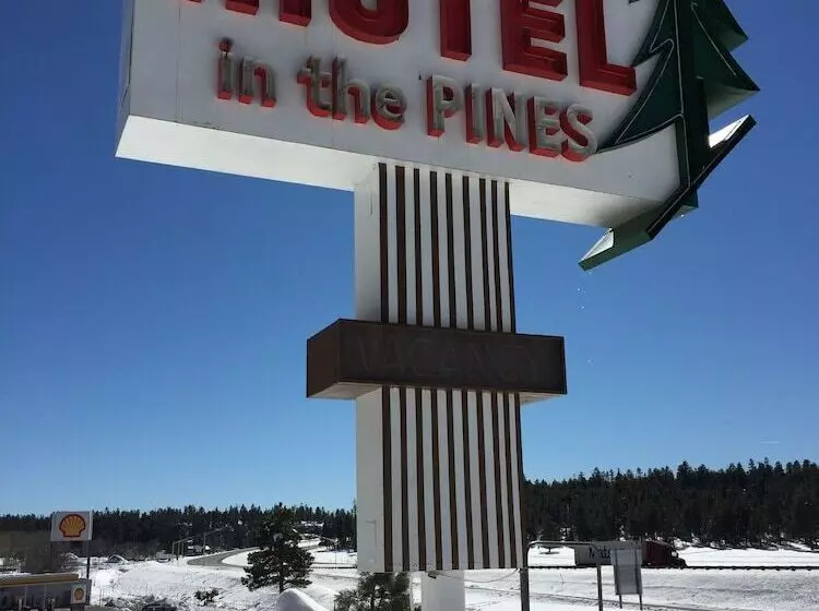 Motel In The Pines