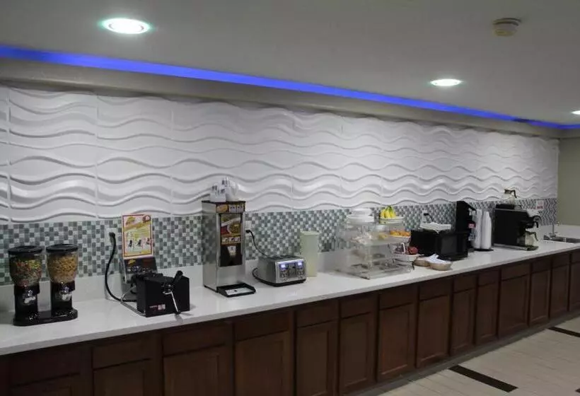 汽车旅馆 Westbridge Inn And Suites