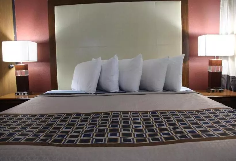 汽车旅馆 Westbridge Inn And Suites