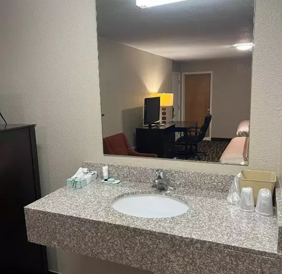 汽车旅馆 Westbridge Inn And Suites