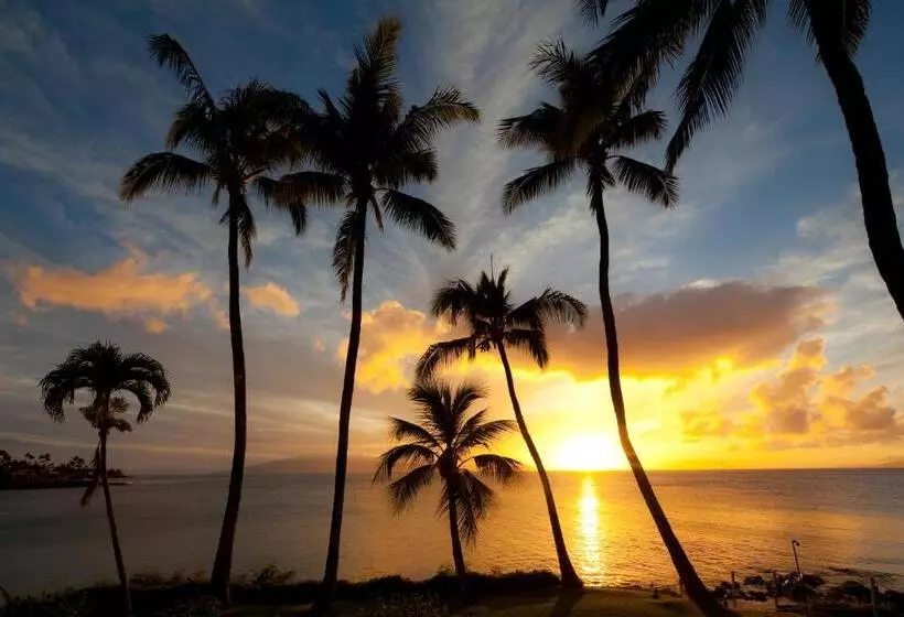 Napili Kai Beach Resort