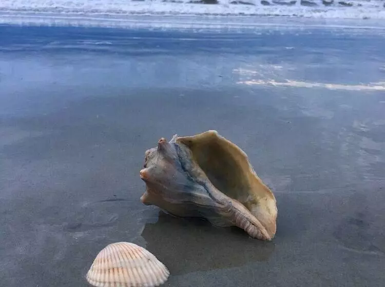 אתר נופש Tybee