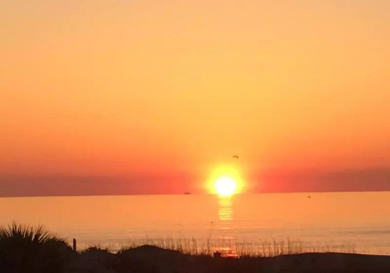 אתר נופש Tybee